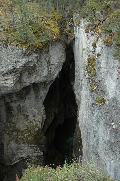 Canyon Maligne (8).JPG